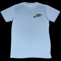 FISH OF PA TEE - ICE BLUE
