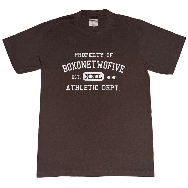 DEPT. OF ATHLETICS GARMENT DYED TEE - MOCHA